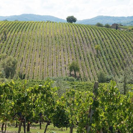 Casa Simona Daire San Gimignano Dış mekan fotoğraf