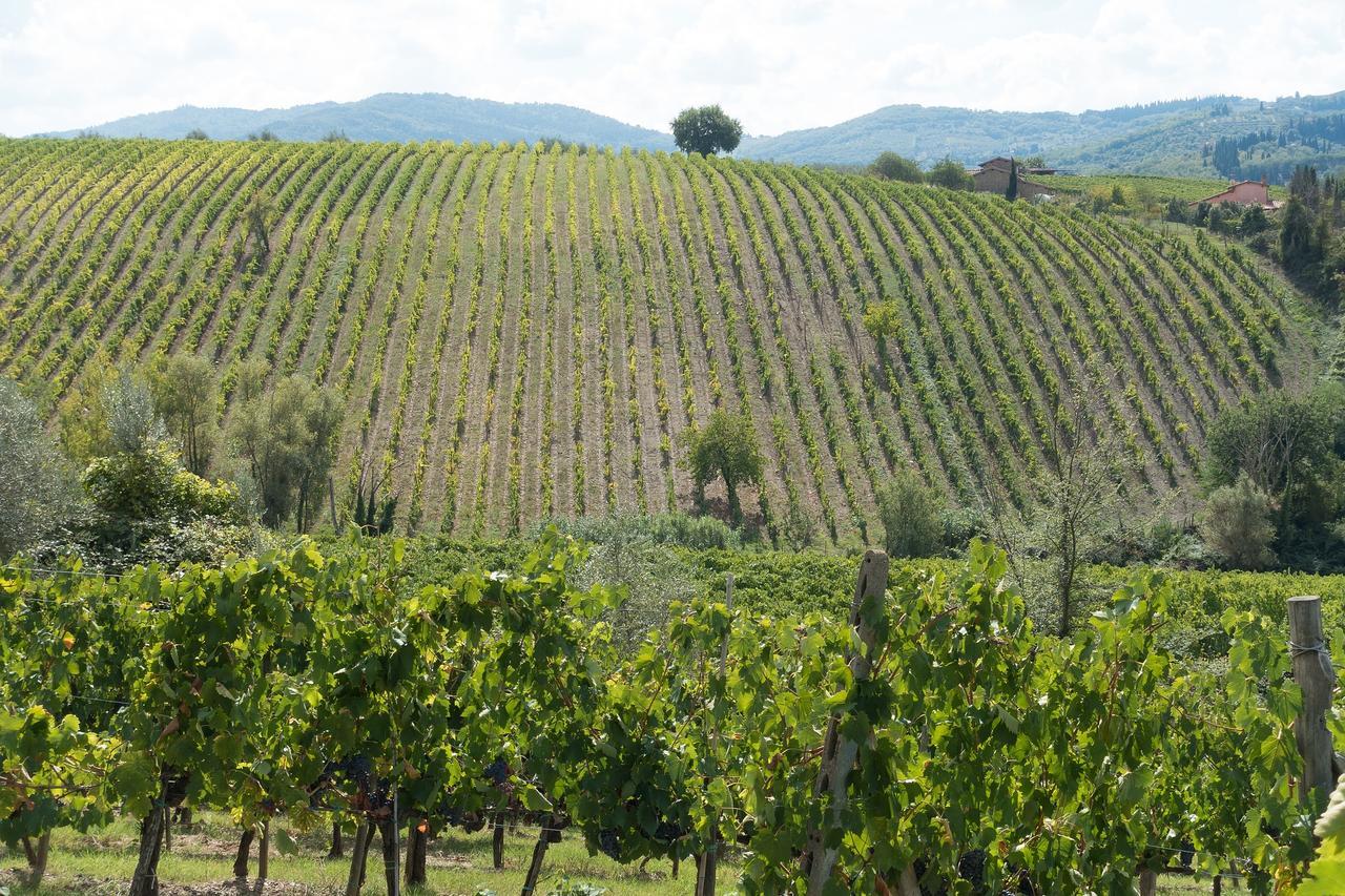 Casa Simona Daire San Gimignano Dış mekan fotoğraf